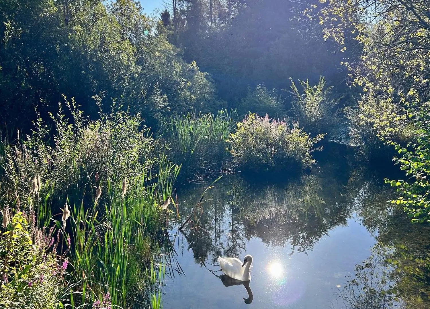 Domek alpejski Secluded Rustic Cabin - A Digital Detox Paradise. York